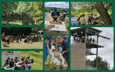 A Week Rooted in Sustainability